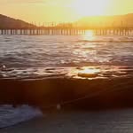 Turner Harris - @turners.harris - Instagram
