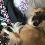 Turner Robinson - @turnerandthegirls - Instagram