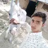 Parekh Tushar - @parekhtushar - TikTok