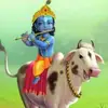 Tushar Rawal - @tusharrawal89 - TikTok