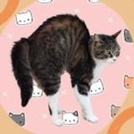 Tüyler Diken Diken - @tuylerdikendikenn - Instagram