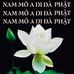Phan Tuỳ - Facebook