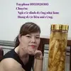 Tuy Phan - @tuyphan2 - TikTok