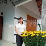 Tuy Phan - @tuy.phan.75054 - Instagram