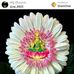 T V Rao - Facebook