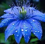 Twila Beasley - Facebook
