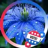 Twila R Beasley - @twila.r.beasley - TikTok