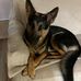 Twila Long - Facebook
