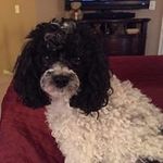 Twila Skelton Meyer - @twilam59 - Instagram