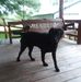Twila Stevenson - Facebook