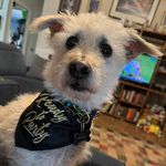 Twila Gould Waters - @twaters4301 - Instagram