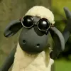 TwelveBrothers - @twelvebrothers - TikTok