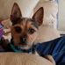 Twila Clark - Facebook