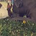 Twyla Barnard Miller - Facebook