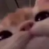 Twyla Smith - @twylasmith293 - TikTok