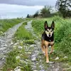 Twyla Smith - @twyla.smith48 - TikTok