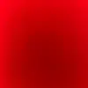 Ty Blackwell - @ty.blackwell5 - TikTok