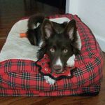 Tyler - @tybriggs22 - Instagram