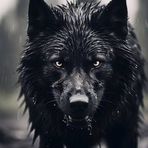 Ty Carson - Facebook