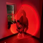Ty Carter - @as2_carter - Instagram
