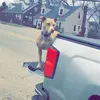 Tyler Combs - @tycombs14 - TikTok