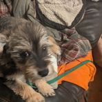 Ty Davidson - Facebook