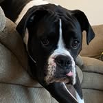 Ty Hall - @tyhall_20 - Instagram