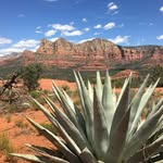 Ty Horton - @tyhort6 - Instagram