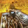 Ty Kennedy - @ty.kennedy0 - TikTok