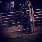 ts_bull rider 2000 - @tylane.colt.sherman - Instagram