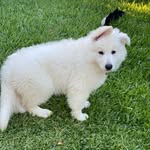 Tyler Test - @ty.lehmantest - Instagram