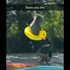 ty_leonard_ - @ty_leonard_ - TikTok