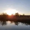 Ty Lewis - @tlewis230803 - TikTok