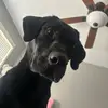 Tylor - @tylordaly - TikTok