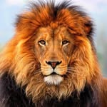 Ty Martin - @tyweezefosheeze - Instagram