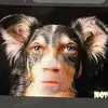 McbrideeTy - @mcbrideety - TikTok
