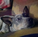 Ty McBride - Facebook