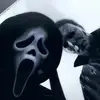 tymier - @tyymierhuunte - TikTok
