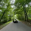 ty.ppetty - @ty.ppetty - TikTok