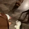 typham - @typhmminh - TikTok