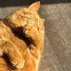 Tyler Porter - @tyler.porter45 - TikTok