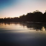 Ty Sharp - @tsharp798 - Instagram