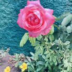 Ty Silva - Facebook