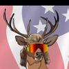 tstein567777 - @tyler.stein14 - TikTok