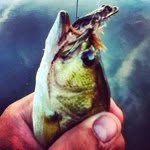 Ty Stein - @tystein - Instagram