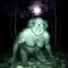 Ty Tanner - @tytanner6969 - TikTok