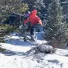 Ty West - @linkert - TikTok