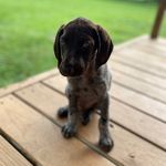 Ty Zimmerman - @tyson_zimmerman - Instagram