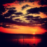 Ty Zimmerman - @_0nature0_ - Instagram