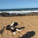Tyebrady05 - @tye_brady14 - Instagram